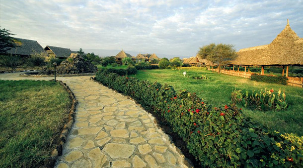 Hoteles Ofertas Dynamic Tours